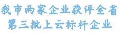 大(dà)冶市新增2家第三批省級上雲标杆企業